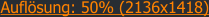 Auflsung: 50% (2136x1418)
