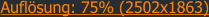 Auflsung: 75% (2502x1863)